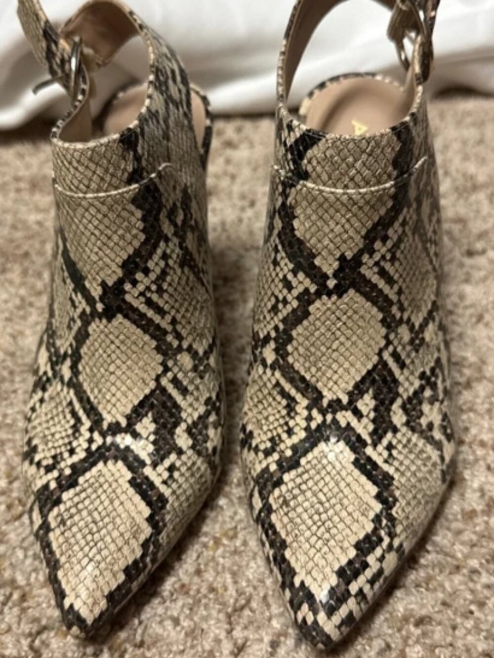 ALDO Ankle boots